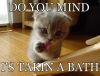 Attached Image